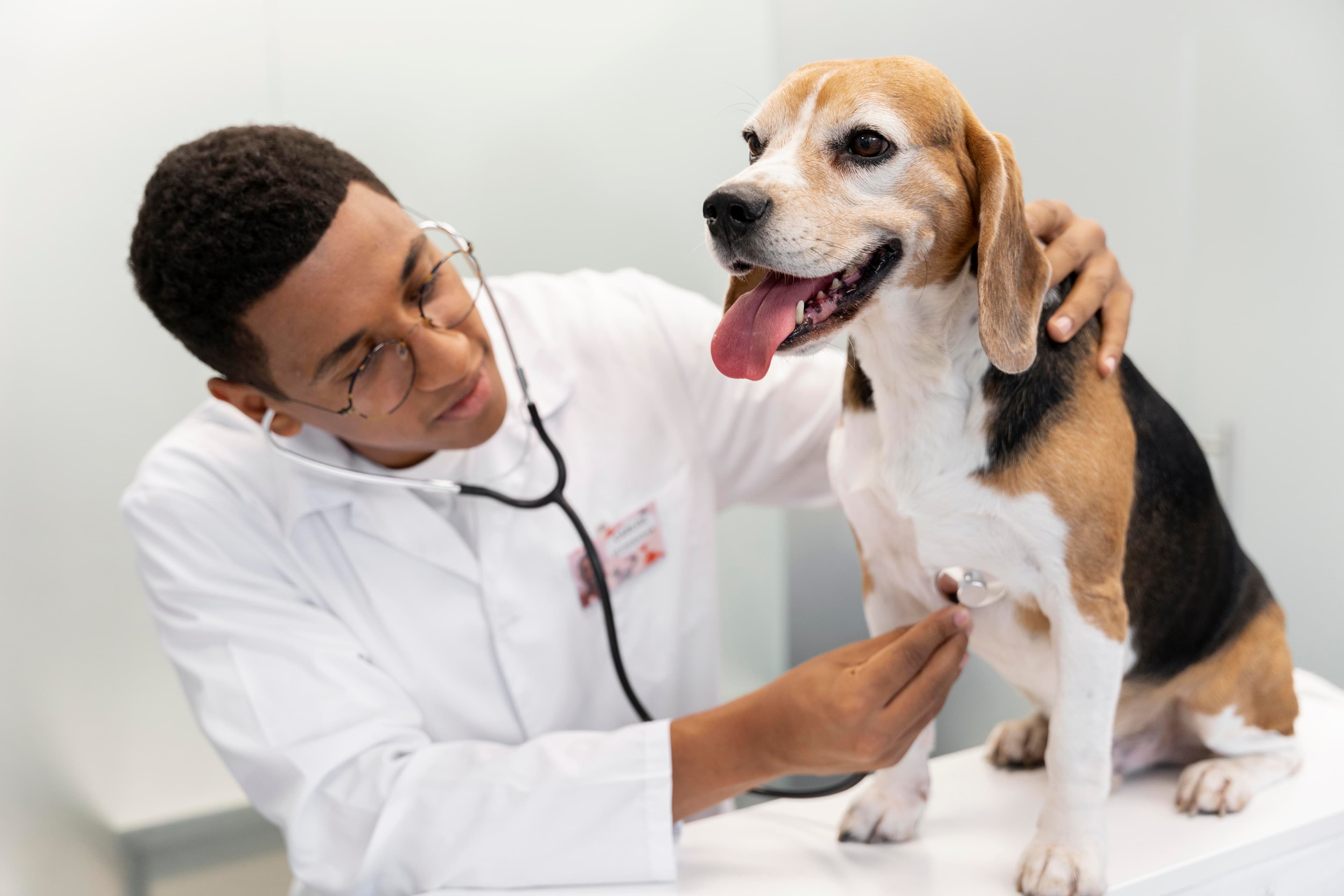 MEDICINA VETERINÁRIA (INTEGRAL)